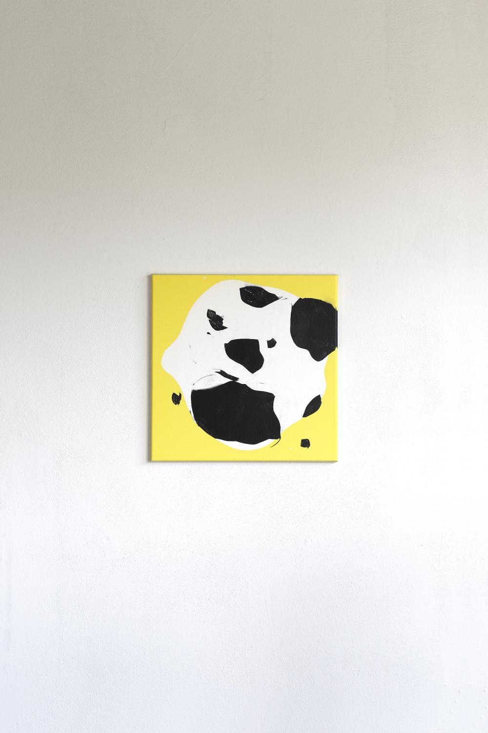 Cow On Yellow