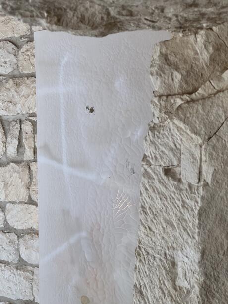 Light for Casa Blanca