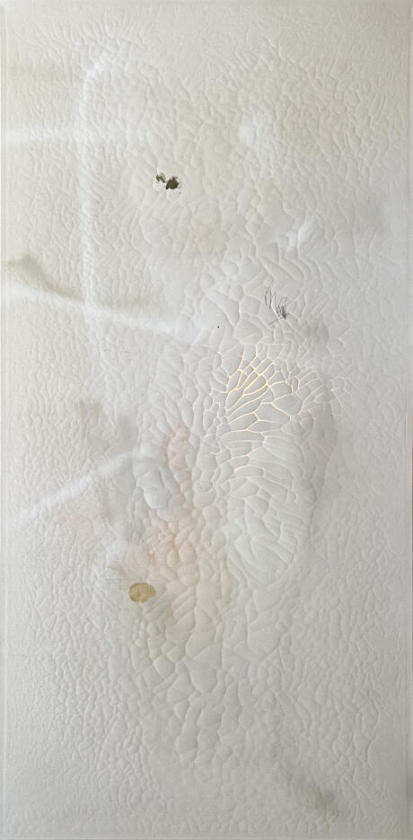 Light for Casa Blanca