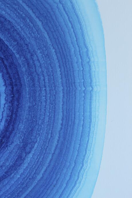 Blue Drying With Feathers Accident