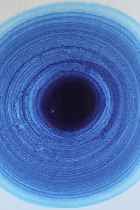 Blue Drying With Feathers Accident