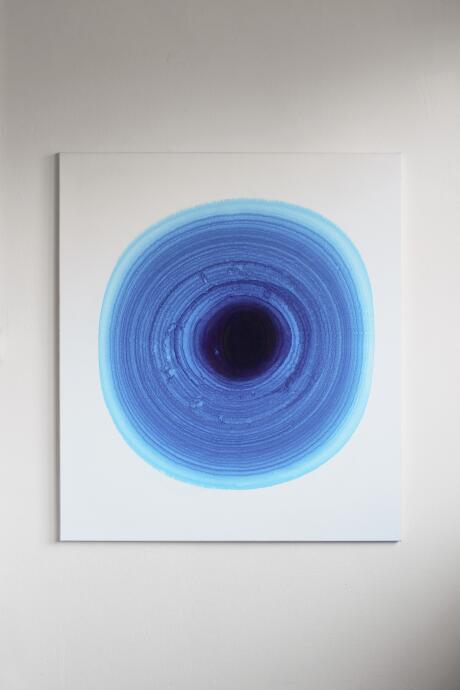 Blue Drying With Feathers Accident