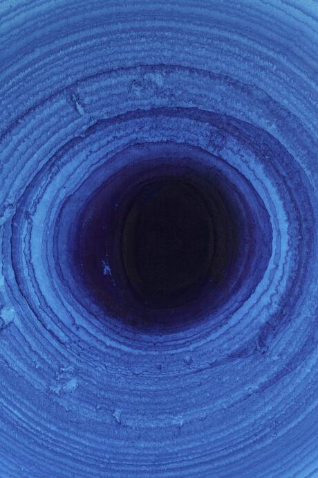 Blue Drying With Feathers Accident