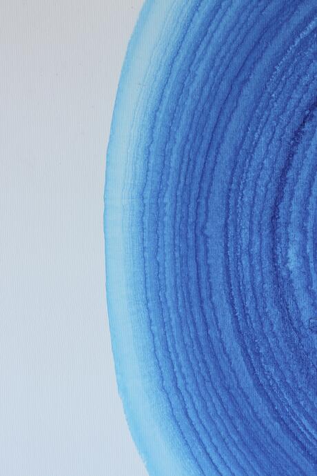 Blue Drying With Feathers Accident