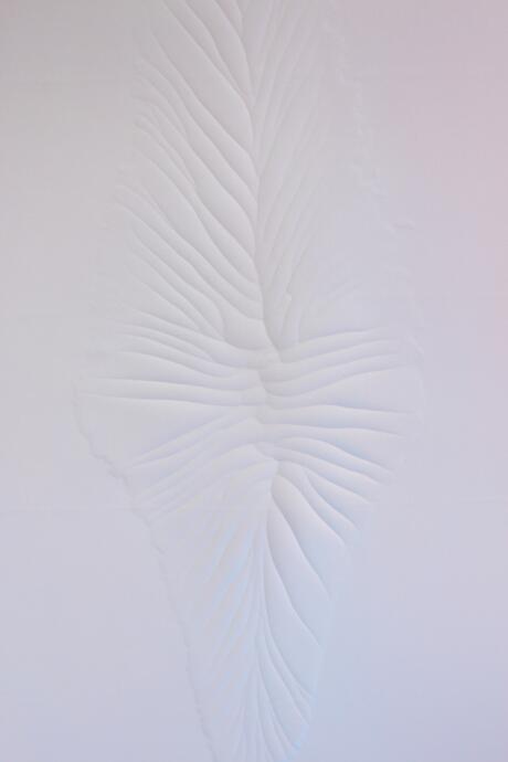 Leather of an animal that didn't die (Purple Pink)