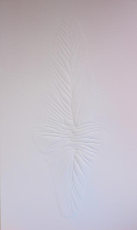 Leather of an animal that didn't die (Purple Pink)