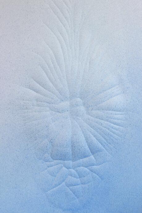 Leather of an animal that didn't die (Blue Yellow)